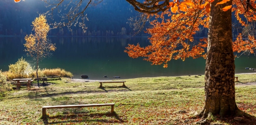 FOTOGRAFIA DE NATURĂ - SFATURI/TRUCURI LA APUS DE SOARE