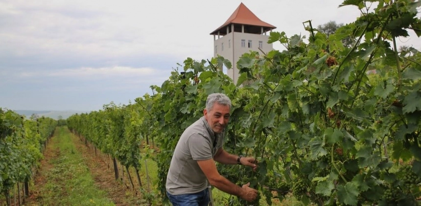 ÍZEK ÉS PANORÁMÁK – BORKÓSTOLÓ A KÜKÜLLŐ MENTÉN