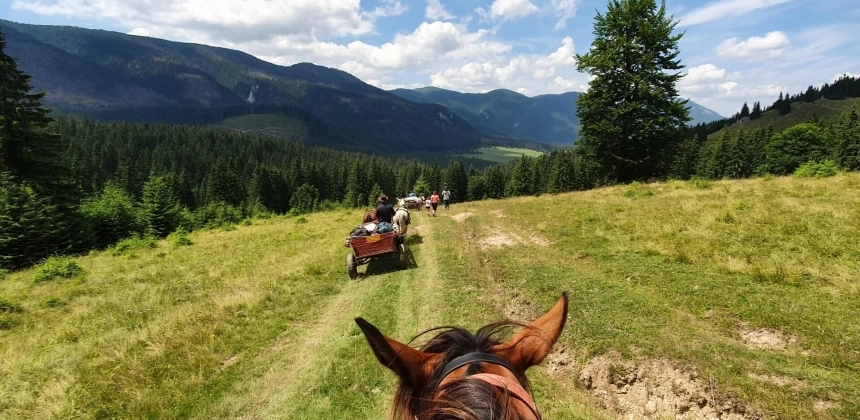 EXCURSIE CU CĂRUȚE ȘI CAI ÎN MUNȚII CIUCULUI