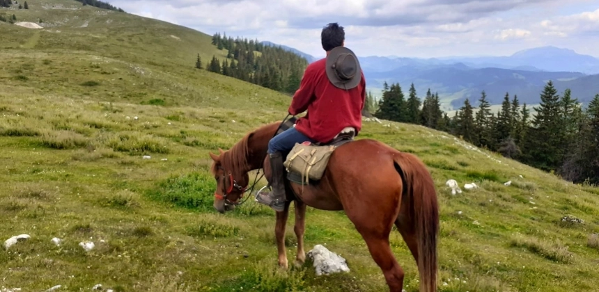 EXCURSIE CU CĂRUȚE ȘI CAI ÎN MUNȚII CIUCULUI
