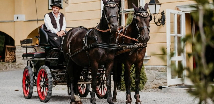 CAZARE ÎN CONFORT NOBILIAR (M/E)