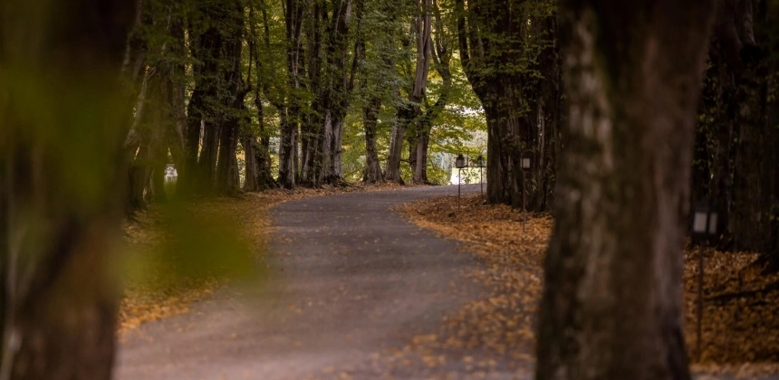 EXCURSIE CU CALEAȘCA SAU SANIA PE DOMENIUL MIKES