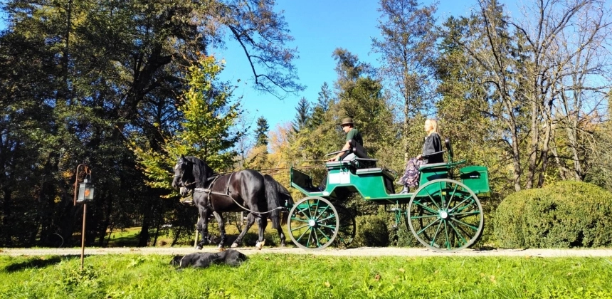 EXCURSIE CU CALEAȘCA SAU SANIA PE DOMENIUL MIKES
