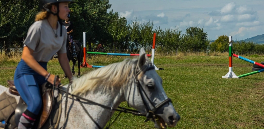 LECȚII DE ECHITAȚIE PENTRU NIVEL INTERMEDIAR ȘI AVANSAT