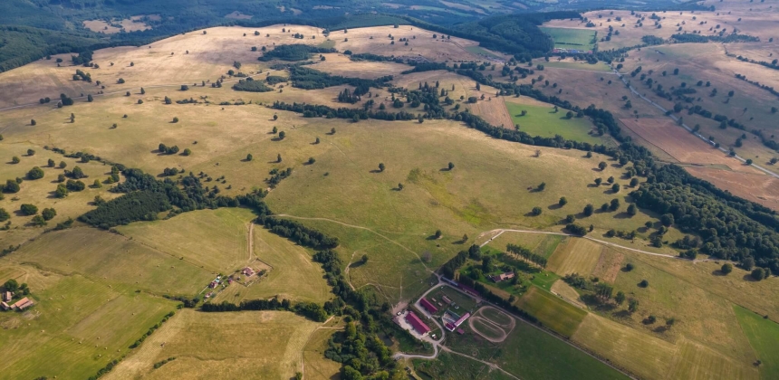 ROMANTIKUS LOMBHÁZÉLMÉNY KALONDÁN