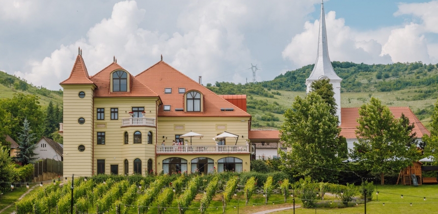 O ESCAPADĂ ÎN FAMILIE LA PETRY ESTATE WINERY