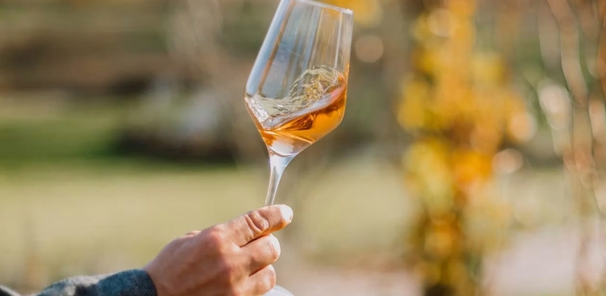DEGUSTARE DE 4 VINURI LA PETRY ESTATE WINERY